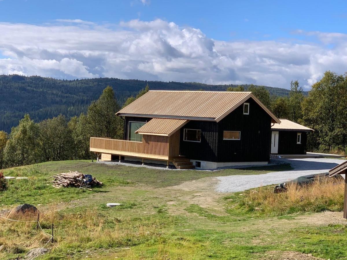 Na Er Vinteren Kommet Til Hallingdal Al Exterior photo