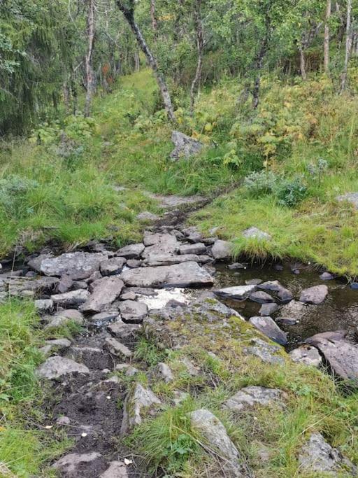 Na Er Vinteren Kommet Til Hallingdal Al Exterior photo