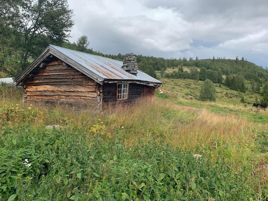 Na Er Vinteren Kommet Til Hallingdal Al Exterior photo