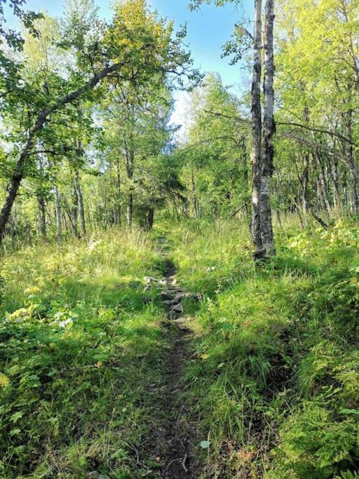 Na Er Vinteren Kommet Til Hallingdal Al Exterior photo