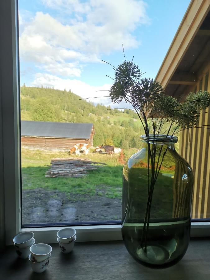 Na Er Vinteren Kommet Til Hallingdal Al Exterior photo