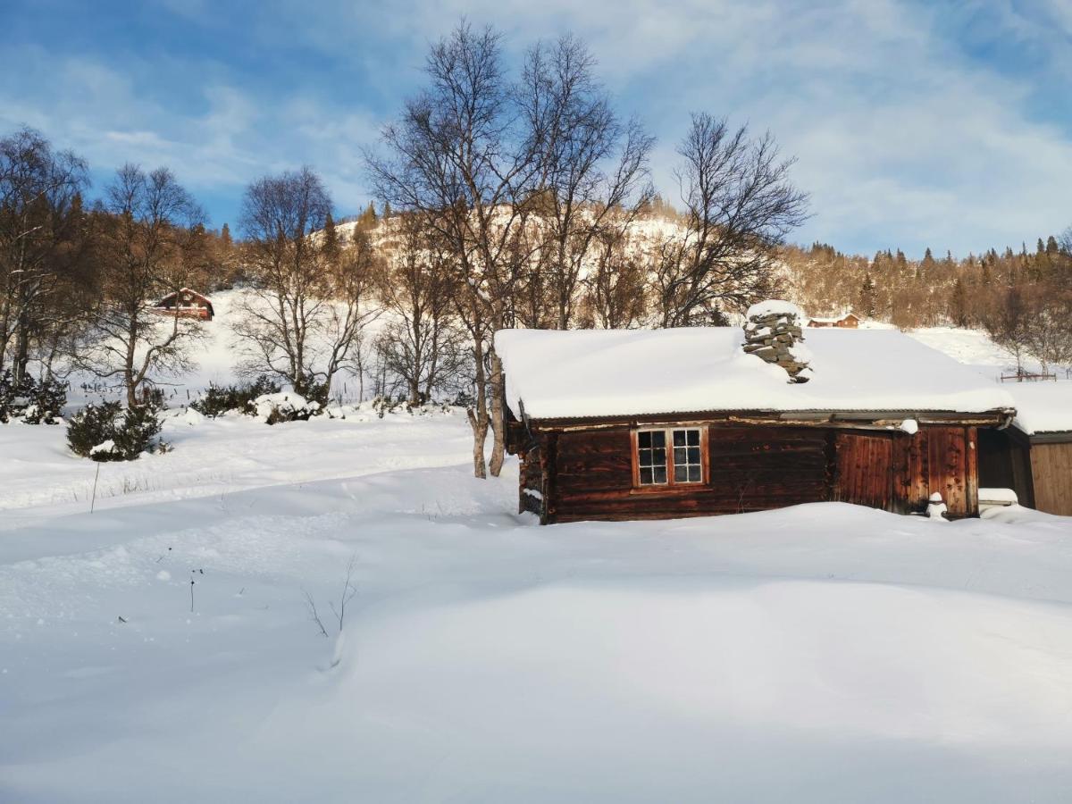 Na Er Vinteren Kommet Til Hallingdal Al Exterior photo