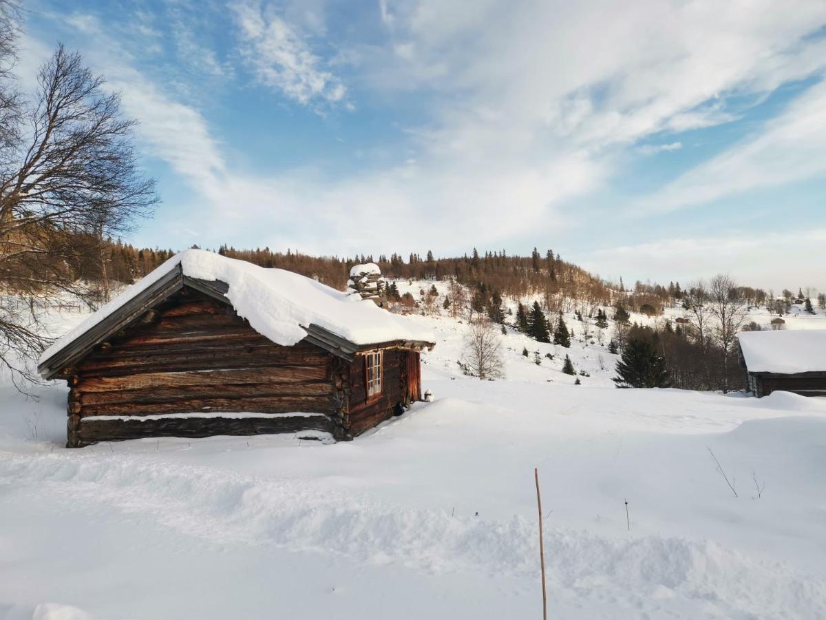 Na Er Vinteren Kommet Til Hallingdal Al Exterior photo